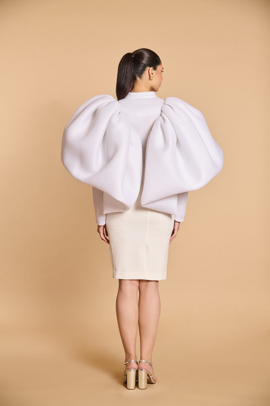 Spectrum pillow jacket