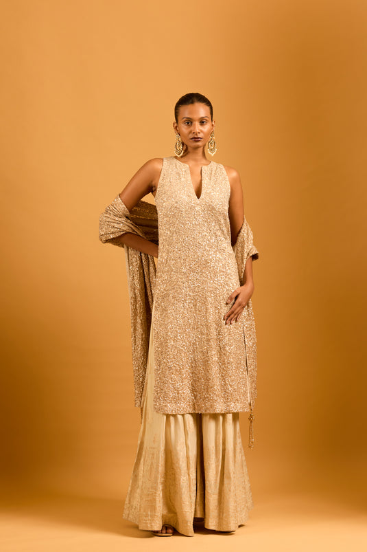 Trifecta gold sequin kurta set