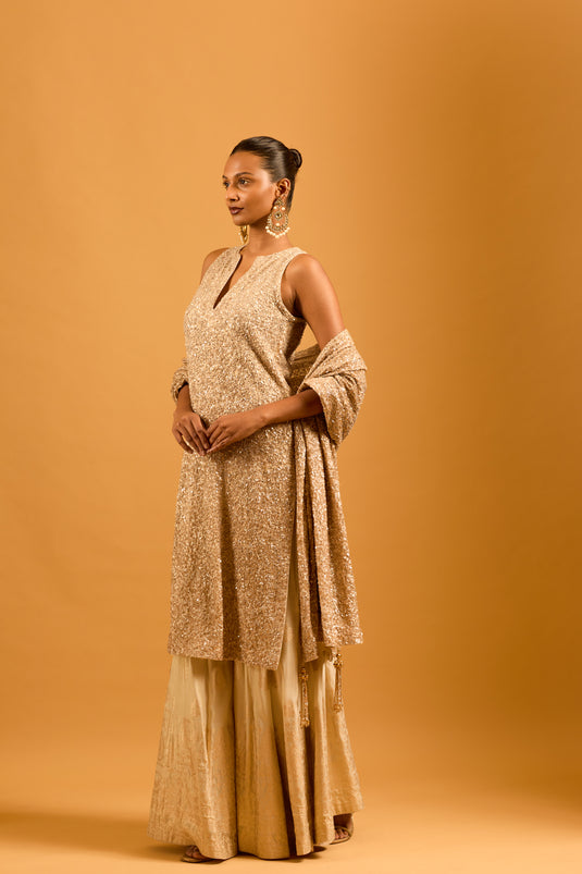 Trifecta gold sequin kurta set