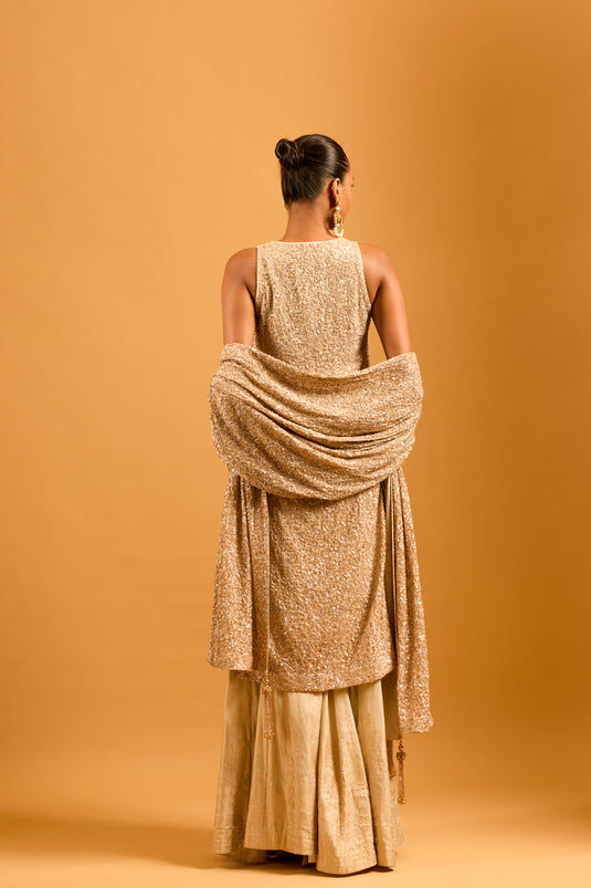 Trifecta gold sequin kurta set