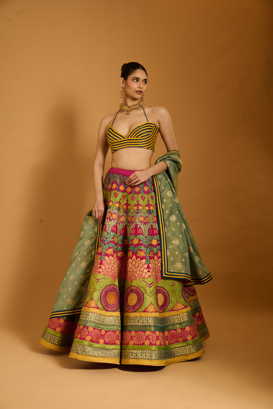 Trifecta multicolor applique lehenga