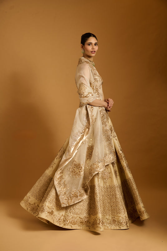 Trifecta beige sequin lehenga