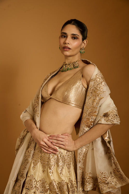 Trifecta beige sequin lehenga