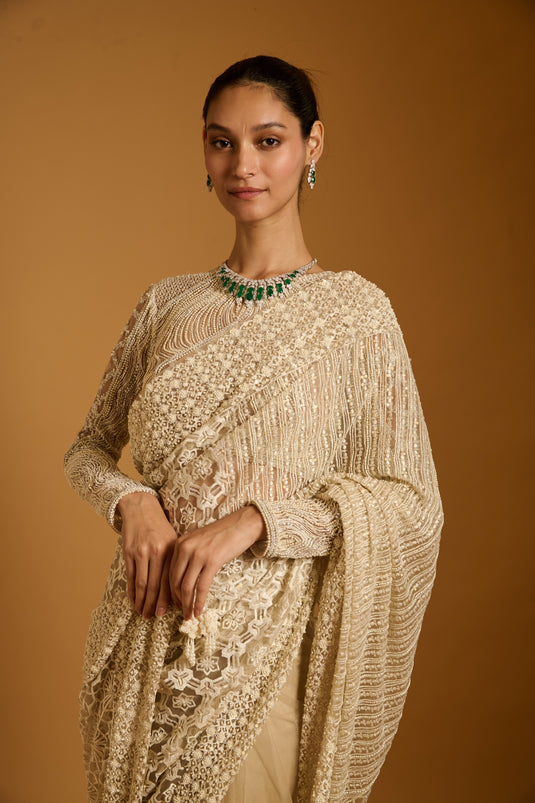 Trifecta ivory paneled saree