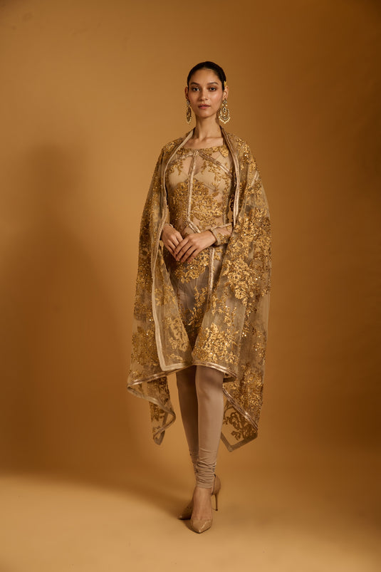 Trifecta sheer zari suit