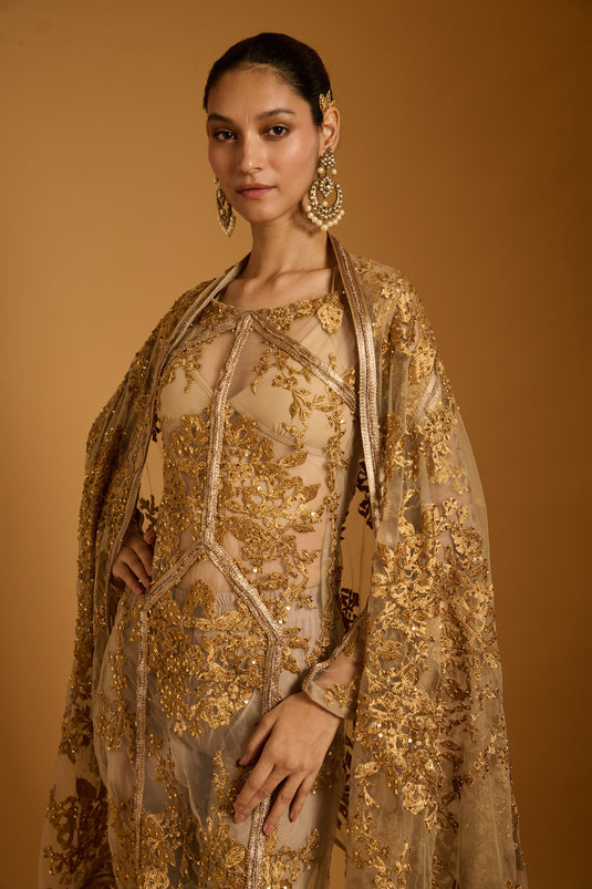 Trifecta sheer zari suit