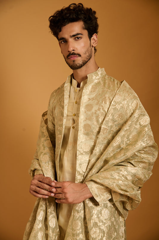 Trifecta tissue sherwani