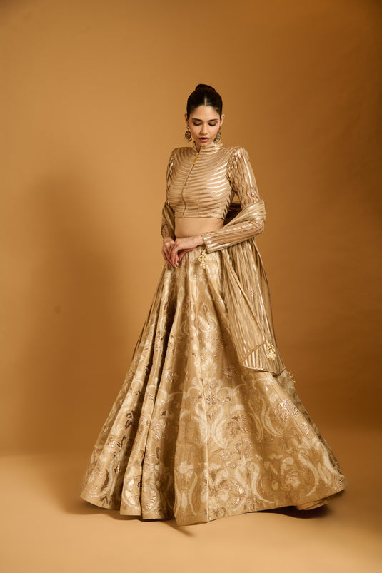 Trifecta beige applique lehenga