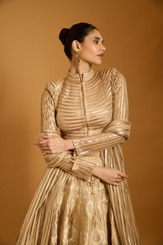 Trifecta beige applique lehenga