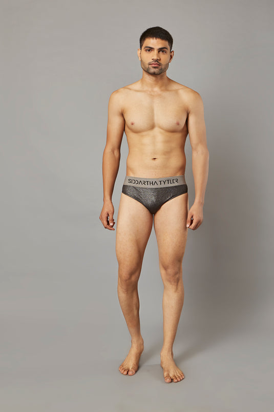 Tinsel Brief Swim B
