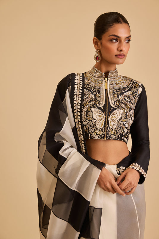 Miraas butterfly yoke saree