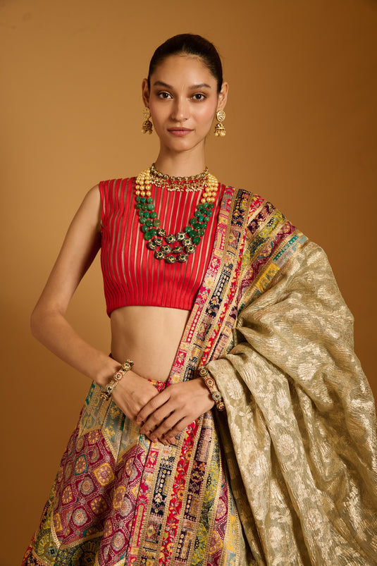 Trifecta multi brocade lehenga