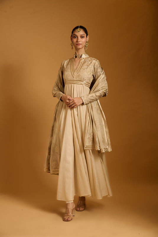 Trifecta beige applique anarkali