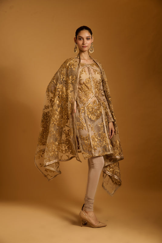 Trifecta sheer zari suit