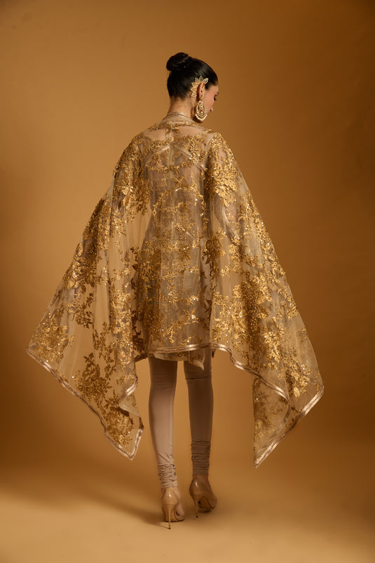 Trifecta sheer zari suit