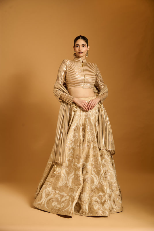 Trifecta beige applique lehenga